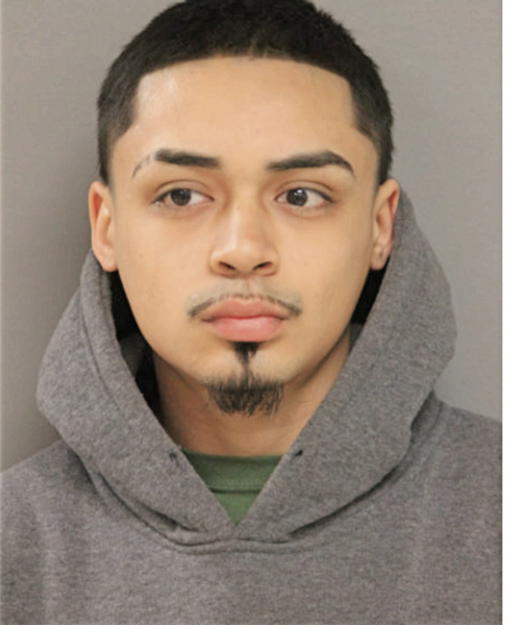 CHRISTIAN I CARDONA, Cook County, Illinois