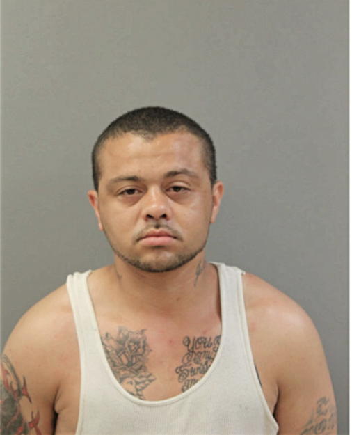 BENNY R COLON, Cook County, Illinois