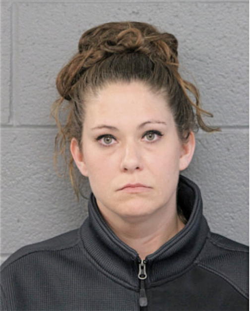 NICHOLE R COOK, Cook County, Illinois