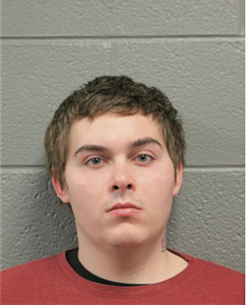 ANDREW D DIVIZIO, Cook County, Illinois