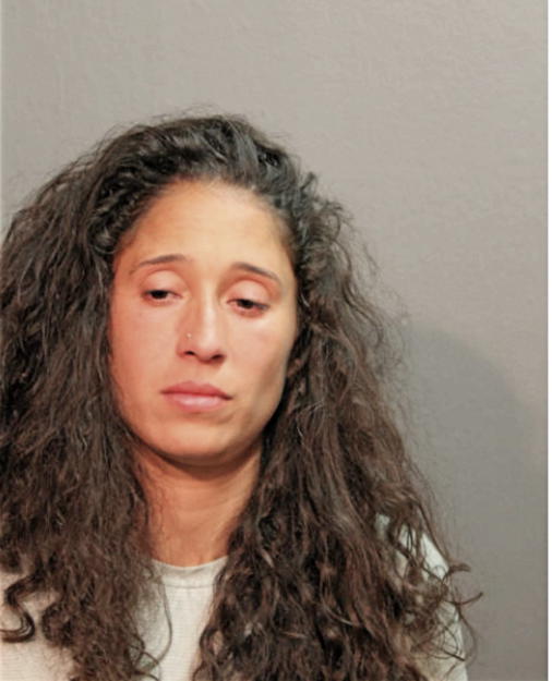 SHAUNA M FERNANDEZ, Cook County, Illinois