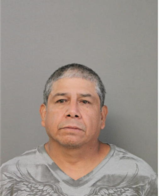 FERNANDO C FLORES, Cook County, Illinois