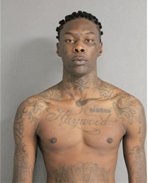 KENNETH D HAYWOOD II, Cook County, Illinois