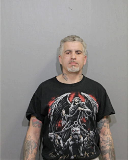 PHILLIP R HOLZENDORF, Cook County, Illinois