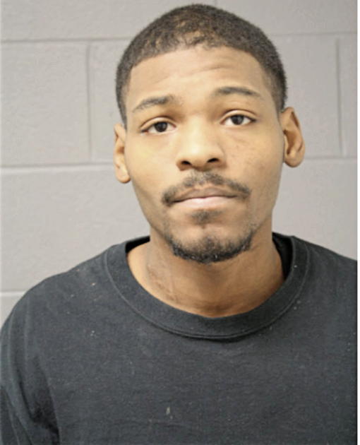 MICHAEL J IVY, Cook County, Illinois