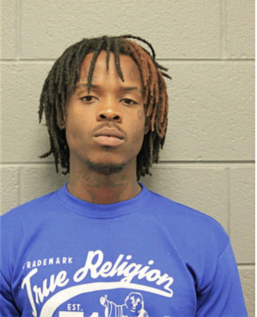 GEORGE J JOHNSON, Cook County, Illinois