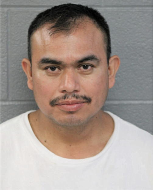 ANTONIO LANDA-GARCIA, Cook County, Illinois