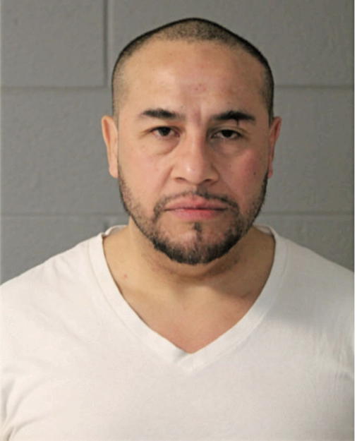 AUGUSTINE MARES, Cook County, Illinois