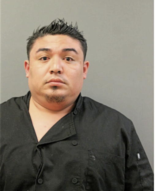 ISAI GONZAGA MARTINEZ, Cook County, Illinois