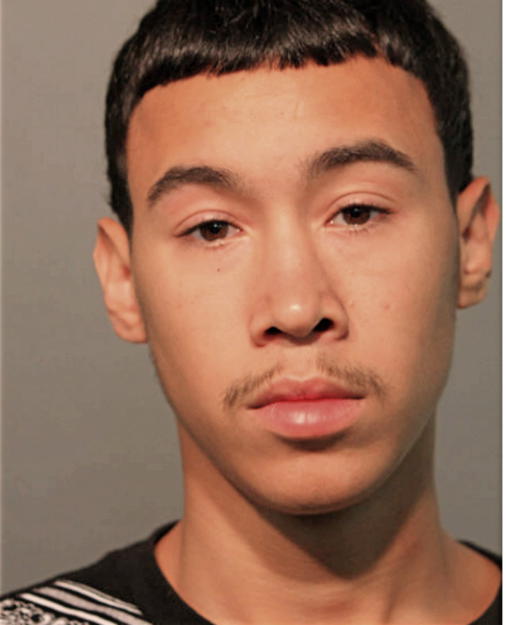 BRYAN M MEDINA, Cook County, Illinois