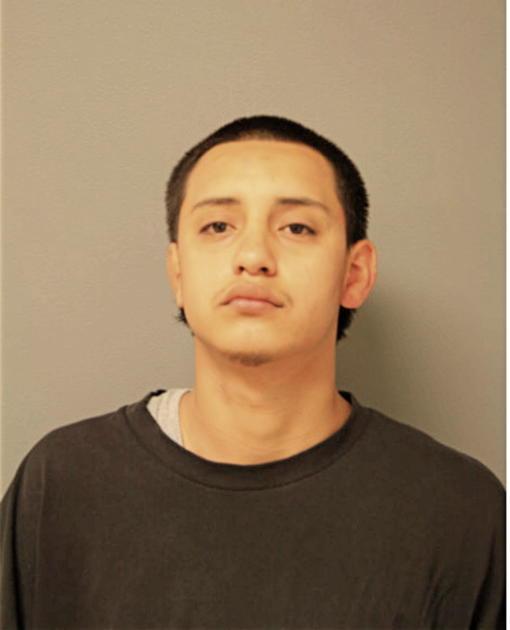 EDILBERTO MENDOZA, Cook County, Illinois