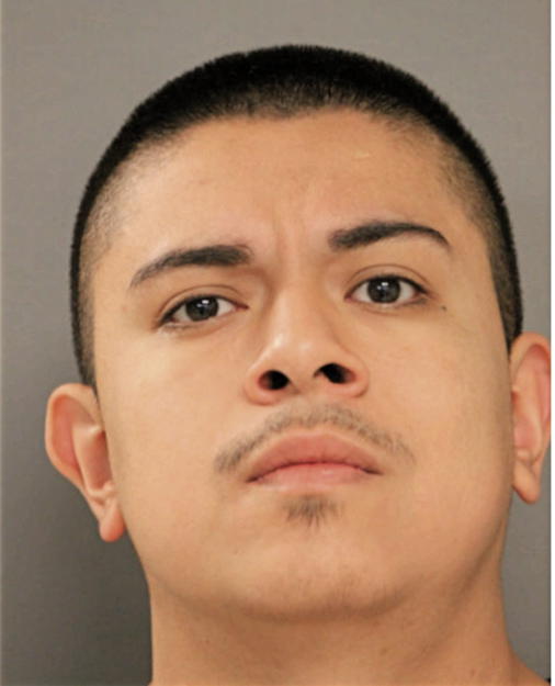 NOE NAVARRO, Cook County, Illinois