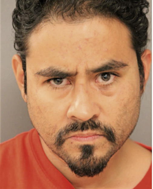 MARTIN R OLBERA, Cook County, Illinois