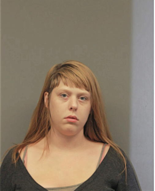 ELIZABETH N ONORATO, Cook County, Illinois
