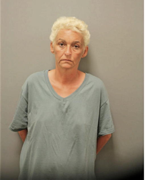 LISA K RUSSELL, Cook County, Illinois