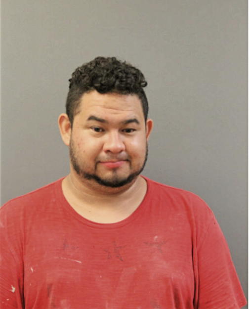 JOSE ALFREDO TELLES, Cook County, Illinois
