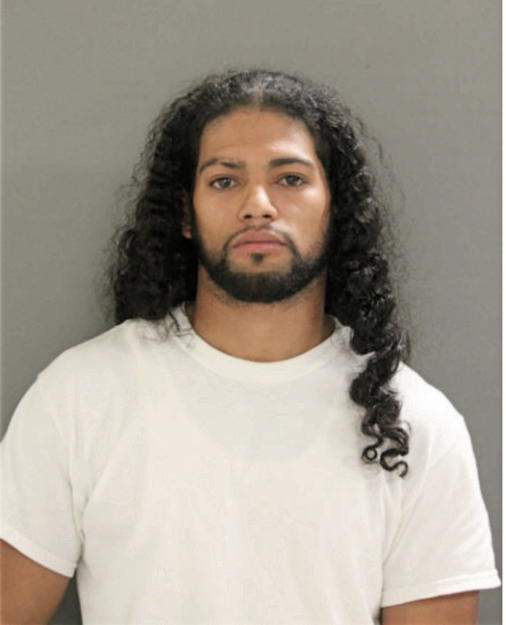 RAUL J TIJERINA, Cook County, Illinois