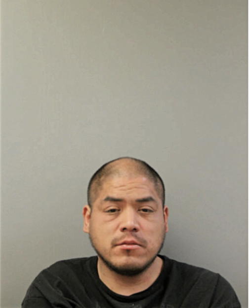 ANGEL L TORRES, Cook County, Illinois