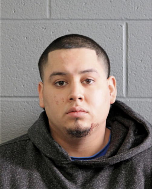 GERARDO A VILLAREAL, Cook County, Illinois