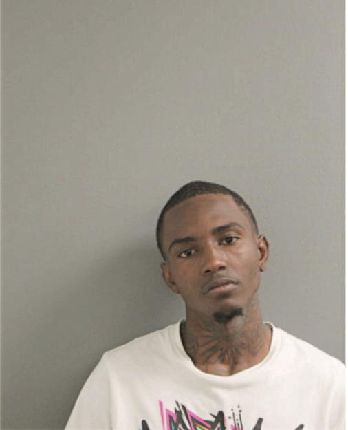 JOSEPH T ALLEN, Cook County, Illinois