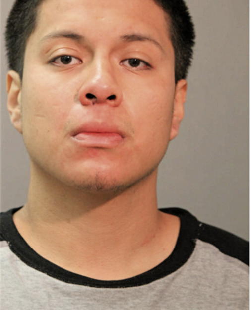CARLOS D ALVAREZ, Cook County, Illinois