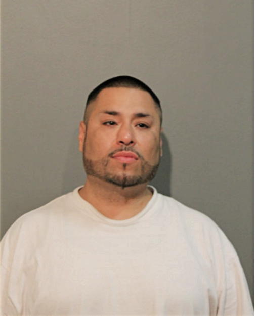 ANTHONY J ANAYA, Cook County, Illinois
