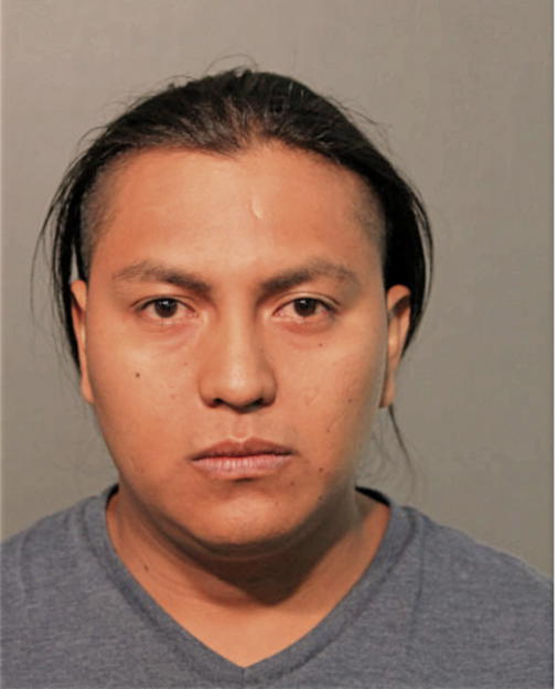 OSCAR DIAZ APOLINAR, Cook County, Illinois
