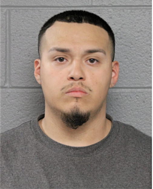 JUAN BAHENA, Cook County, Illinois