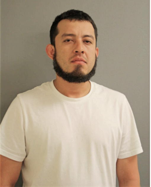 VICTOR CASTRO-LUNA, Cook County, Illinois