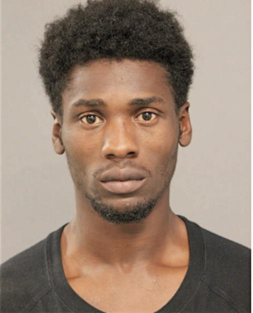 LUTHER L FITCH, Cook County, Illinois