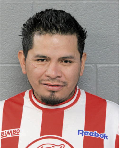MARCO ANTONIO FLORES, Cook County, Illinois