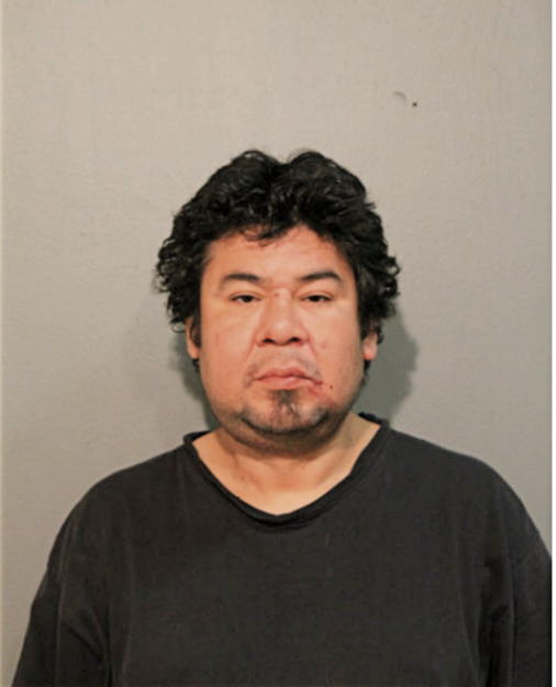 DAVID J GARCIA, Cook County, Illinois