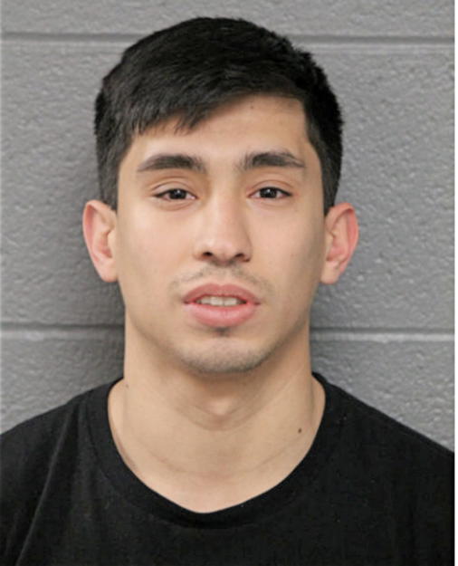 ADOLFO J GARZA, Cook County, Illinois