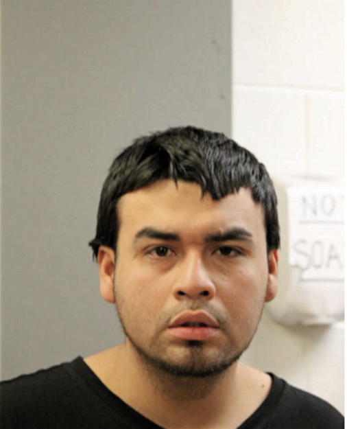 CHRISTIAN GONZALEZ, Cook County, Illinois