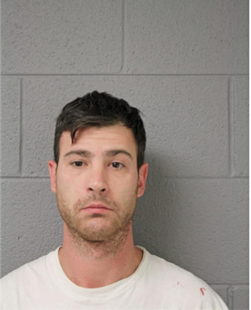 NICHOLAS A GRASSO JR, Cook County, Illinois