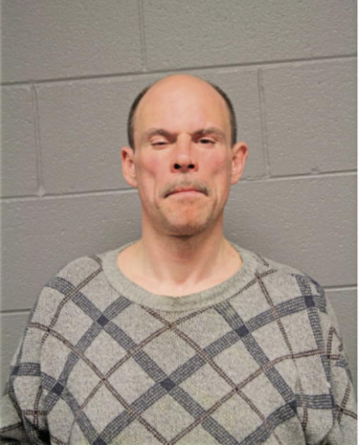 BRIAN W LAVERGNE, Cook County, Illinois