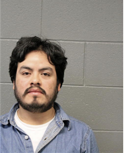GUILLERMO LUIS LEON GUZMAN, Cook County, Illinois