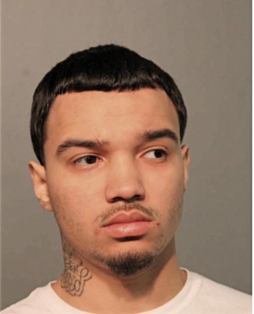 WILLIAM N MERCADO, Cook County, Illinois