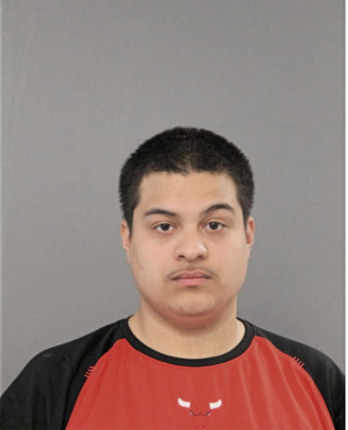 ERIK O MURILLO, Cook County, Illinois