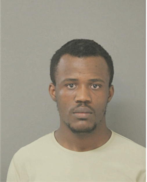 AUGUSTINE E NDIWE, Cook County, Illinois