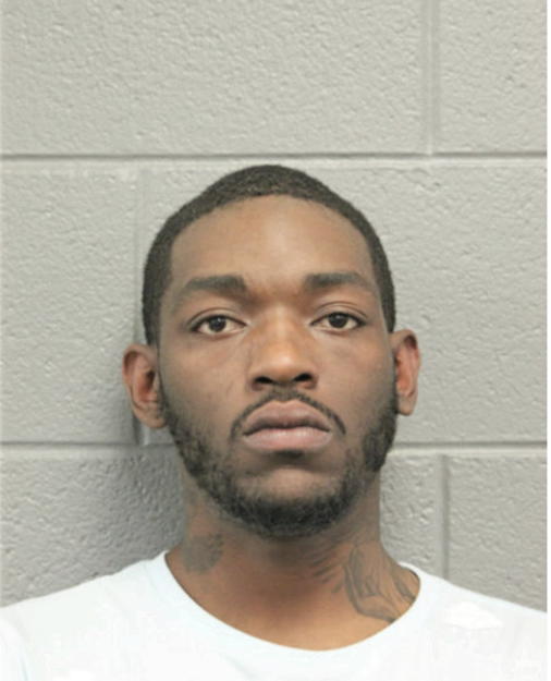 KENNETH R NELSON, Cook County, Illinois