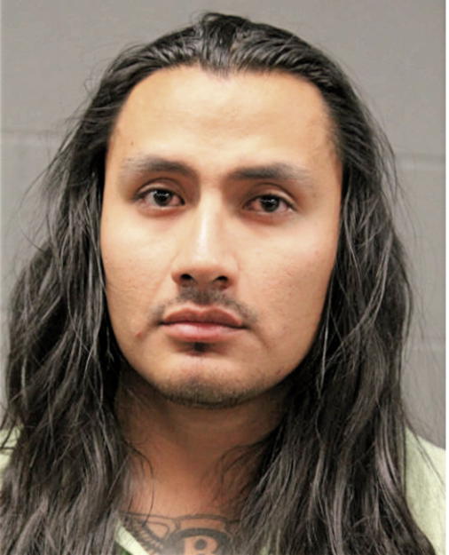 IRVING I SALAZAR, Cook County, Illinois