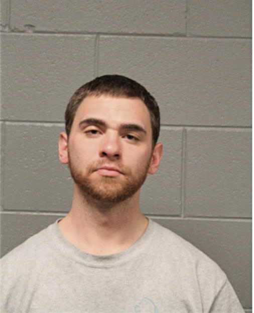 MICHAEL B STEFANI, Cook County, Illinois