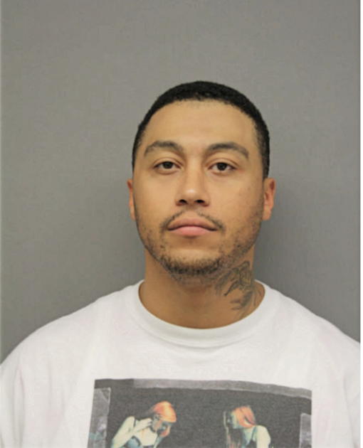 DEMETRIUS L STEWART, Cook County, Illinois