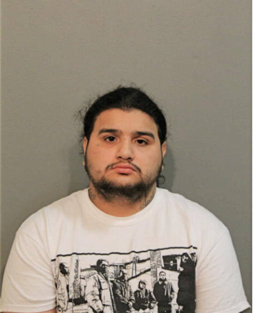 ANTHONY TORRES, Cook County, Illinois
