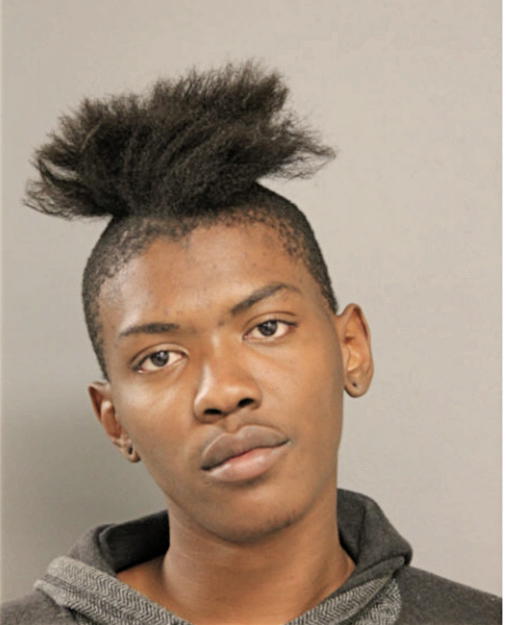 ISAIAH E VAUGHN, Cook County, Illinois
