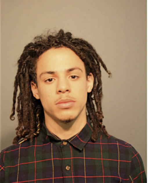 ETHAN E VIETS-VANLEAR, Cook County, Illinois