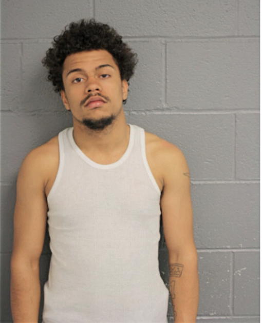 DANTE J WILLIAMS, Cook County, Illinois