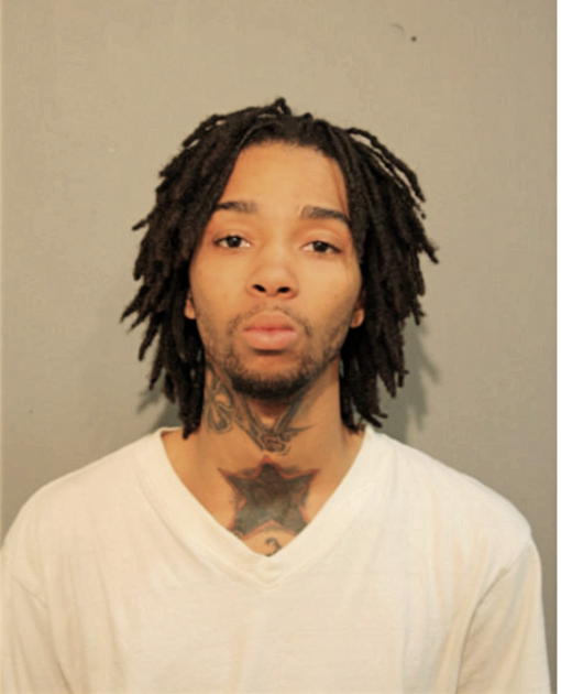 LIONEL P WILLIAMS, Cook County, Illinois