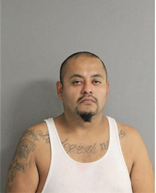 JORGE C ZAMORA-FLORES, Cook County, Illinois